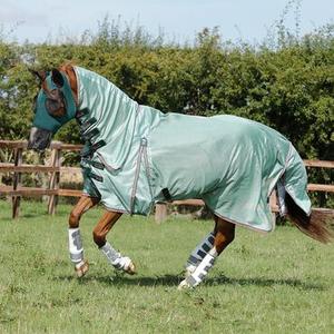 Chemises anti-mouches