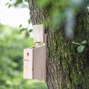 Bird House