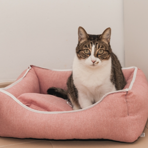 Mats & Beds
