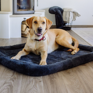 category Körbchen & Käfige