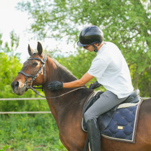 Riding Pants