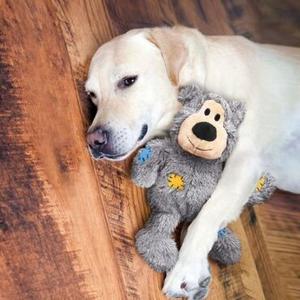 Cat Plush Toys