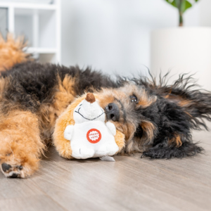 Stuffed Animal