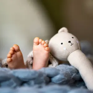 category Stuffed Toys