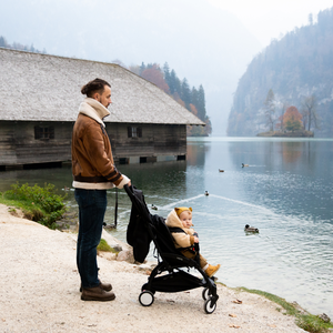 Strollers & Carriages