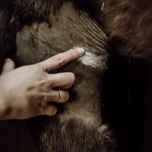 category Erste Hilfe