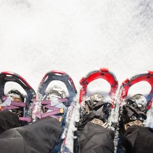 Snowshoes