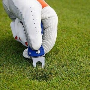 Pitch-Übertragungen