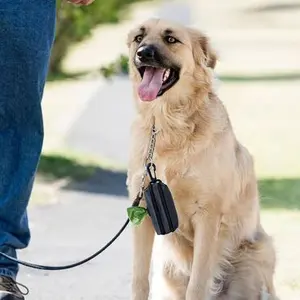 Renlighet och hygien