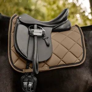 category Dressage Saddles