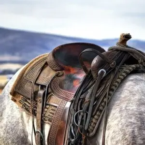 category Western-Sättel