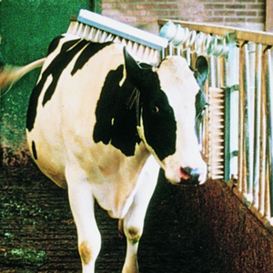 category Pflege und Bürsten