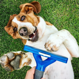 category Pflege &amp; Verbände