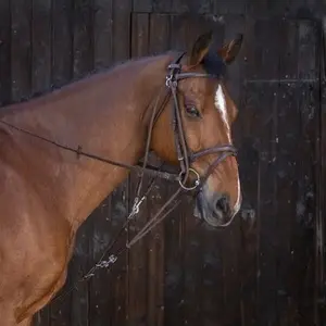 category Working Horse