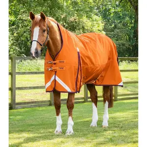 category Stable Blankets