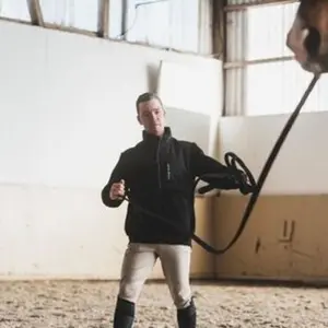 category Sweatshirts