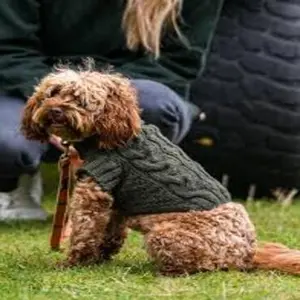 category Sweaters