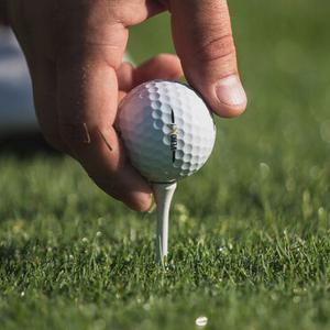 category T-Shirts und Accessoires