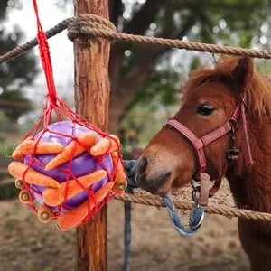 category Enrichment Toys