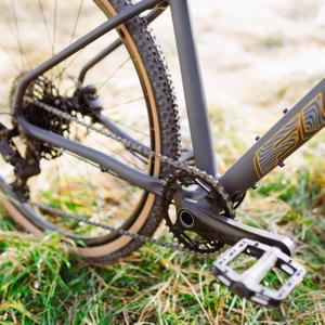 Bicycle Transmissions