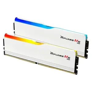 Mémoire RAM PC G.Skill F5-5600J4040D48GX2-RM5RW image-1
