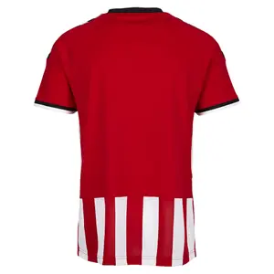 Jersey Hummel stay hmlAUTHENTIC striped image-1