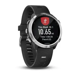 Smartwatch Garmin Forerunner 645 42 mm image-6