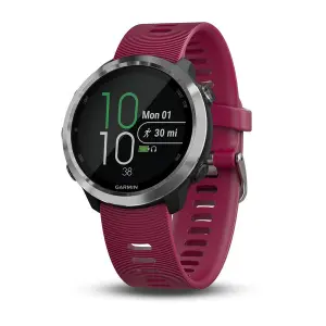 Smartwatch Garmin Forerunner 645 Music 42 mm image-0