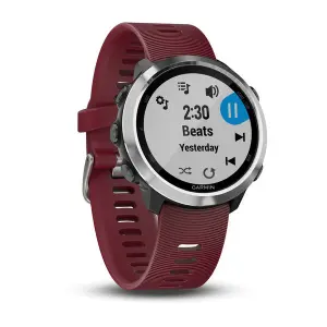 Smartwatch Garmin Forerunner 645 Music 42 mm image-5