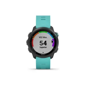 Smartwatch Garmin Forerunner 245 music 42 mm image-3