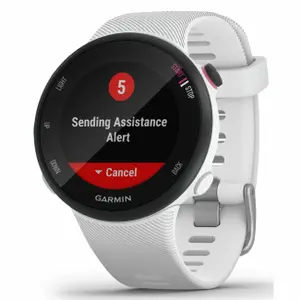 Smartwatch Garmin Forerunner 45s 40 mm image-0