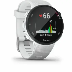 Smartwatch Garmin Forerunner 45s 40 mm image-2