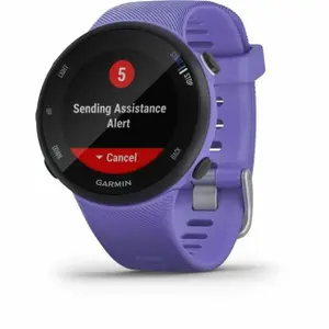 Smartwatch Garmin Forerunner 45s iris 40 mm image-3