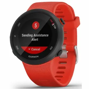 Smartwatch Garmin Forerunner 45 40 mm image-2