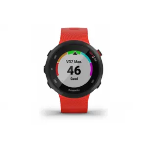 Smartwatch Garmin Forerunner 45 40 mm image-1