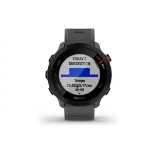 010-02562-13-smartwatch-garmin-forerunner-55-42-mm-grau-tu