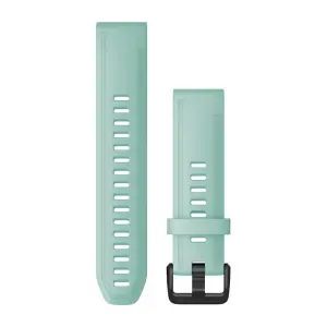 Watch strap Garmin Quickfit 20 image-0