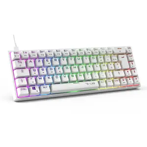 Clavier Gaming Titanium 65% RGB/Filaire/ The-Lab