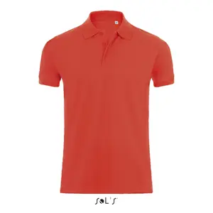 Polo Sol's Phoenix image-0