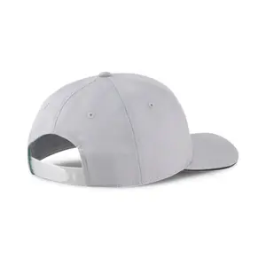Pet Puma MAPF1 BB image-1