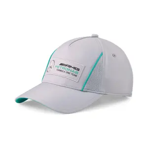 Pet Puma MAPF1B image-0