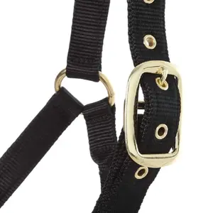Nylon halter for horse Kavalkade Memory image-2
