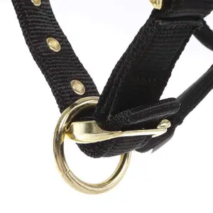 Nylon halter for horse Kavalkade Memory image-4