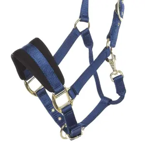 Nylon halter for horse Kavalkade Memory image-1