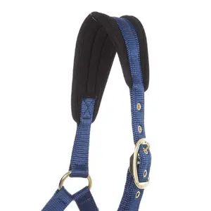 Nylon halter for horse Kavalkade Memory image-2