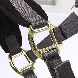 Nylon halter for horse Kavalkade Memory image-1