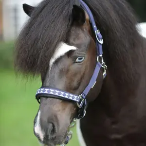 Licol pour cheval en nylon Kavalkade Iceland-Classic image-1
