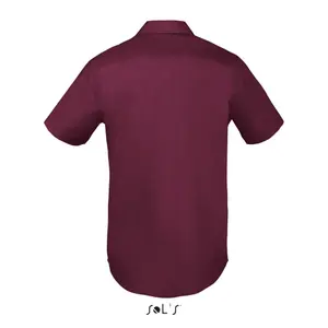 Ing Sol's Bristol Fit image-1