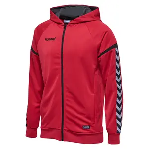 Sudadera con capucha Hummel auth. charge image-1