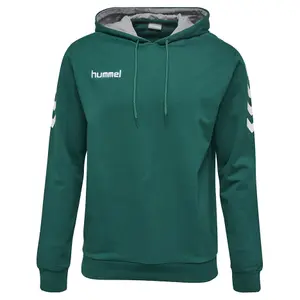 Sudadera con capucha para niños Hummel hmlCORE cotton image-0